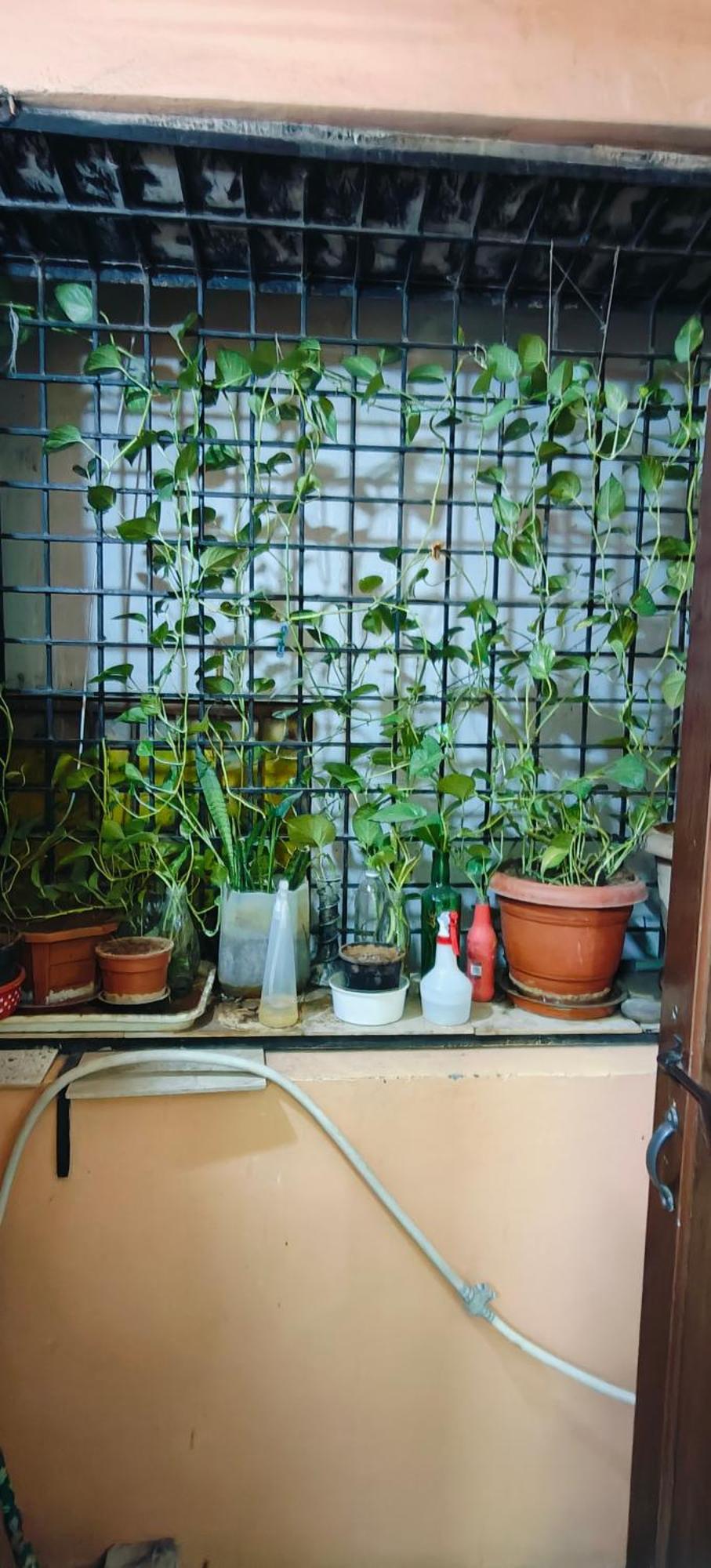 Appartamento Rani'S Nest Hyderabad Esterno foto